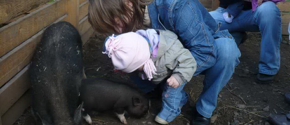 Kinderbauernhof Zwei Frauen mit zwei kleinen Kindern, die kleine Schweine in einem Stall streicheln.